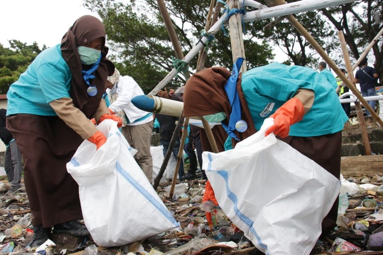 Pertamina Tanam 20 Ribu Pohon Cemara Udang Di Pantai Banyuwangi