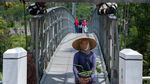 Diganti Baru, Jembatan Indiana Jones di RI Mulai Lenyap