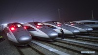 Festival Musim Semi ini dalam rangka menyambut Tahun Baru Imlek China yang jatuh pada 5 Februari tahun ini. Foto: Dok. Xinhuanet