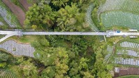 Menteri Pekerjaan Umum dan Perumahan Rakyat (PUPR) Basuki Hadimuljono mengatakan pemerintah tak hanya menggarap proyek infrastruktur besar, tapi juga yang proyek jembatan gantung. Tidak hanya mengerjakan kegiatan besar tapi untuk jembatan-jembatan gantung untuk menggantikan jembatan Indiana Jones, supaya sekolah aman, produksi pertanian dari desa ke desa bisa lancar dengan jembatan gantung, kata Basuki akhir tahun lalu. Contohnya di gambar ini, Jembatan gantun Krinjing. Pool/Ditjen Bina Marga Kementerian PUPR.