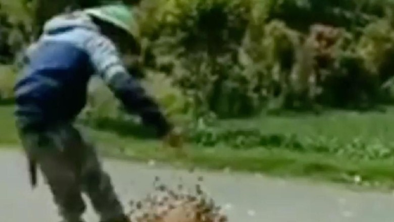 Viral Petani di Jambi Buang Kentang hingga Cabai ke Jalan Viral Petani di Jambi Buang Kentang hingga Cabai ke Jalan