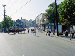 Potret Langka Kota Seoul Masih Melarat, Sapi Pun Berkeliaran
