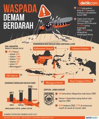 Sudah 13.683 Orang Kena DBD di Indonesia, 133 Meninggal