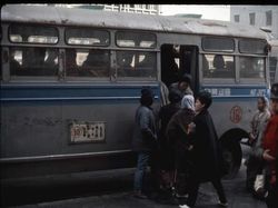 Potret Langka Kota Seoul Masih Melarat, Sapi Pun Berkeliaran