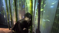 Serasa di kebun bambu ya. Tomohiro Ohsumi/Getty Images.