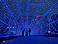 OPPO R17 Pro: Penyempurna Foto Malam dengan Pengisian Baterai Super Cepat