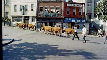 ada tahun 1965, penghasilan per kapita warga Korsel lebih kecil dari Ghana, bahkan dari negara serumpunnya, Korea Utara. Foto: Vintages