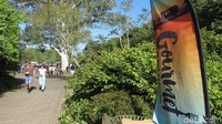Hamilton adalah kota kecil yang berjarak 125 km dari Auckland. Setiap hari Minggu di musim panas, kota ini mendadak sepi dan penduduknya seperti hilang (Fitraya/detikTravel)