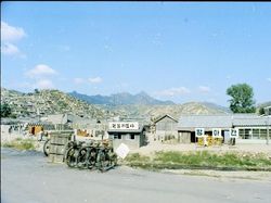 Potret Langka Kota Seoul Masih Melarat, Sapi Pun Berkeliaran