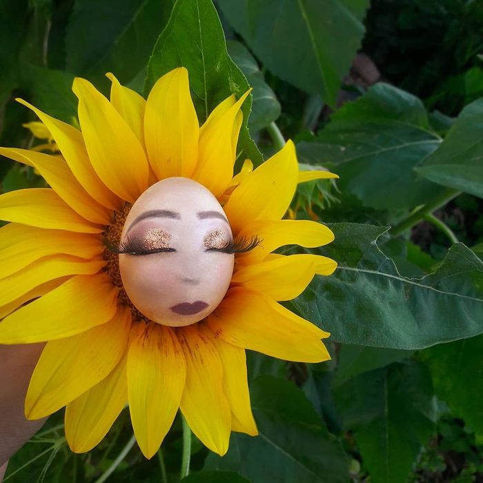 65 Gambar Bunga  Matahari  Lucu  Terbaik Eye Cathingent