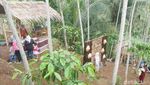 Potret Pasar di Tengah Hutan Banjarnegara