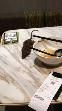 Hii..! Ada Bangkai Tikus Jatuh ke Atas Meja di Restoran Hong Kong Ini