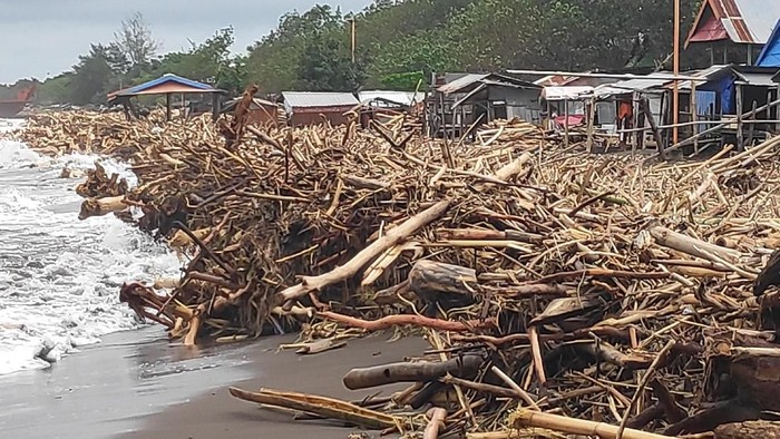 Pascabanjir, Sampah Kayu Menumpuk di Pantai Makassar Sepanjang 2 Km