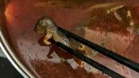 Hii..! Ada Bangkai Tikus Jatuh ke Atas Meja di Restoran Hong Kong Ini