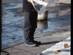 Potret Langka Kota Seoul Masih Melarat, Sapi Pun Berkeliaran