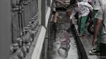 Pasca Banjir Rob, Warga Muara Angke Cari Ikan di Selokan