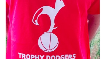 Sudah lama sekali Tottenham menang piala dan agaknya masih terus belanjut. Foto: istimewa