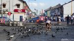 Foto: Liburan Imlek di Penang, Ada Kelenteng Antik yang Fotogenik