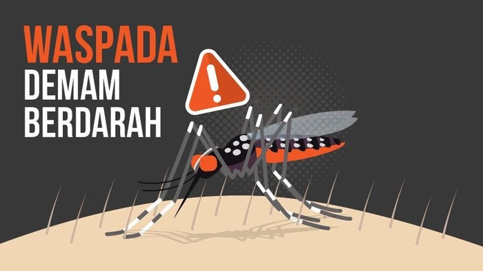 Infografis demam berdarah 2019.