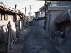 Potret Langka Kota Seoul Masih Melarat, Sapi Pun Berkeliaran