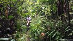 Foto: Air Terjun Tersembunyi di Polewali Mandar