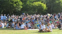 Rupanya semua warga kota Hamilton dan wisatawan berkumpul ke festival Gourmet on the Gardens. Letaknya di sebelah Hamilton Gardens (Fitraya/detikTravel)