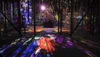 Permainan cahaya warna-warni akan memanjakan pengunjung. Tomohiro Ohsumi/Getty Images.