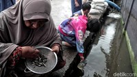 Penampakan sejumlah warga di Muara Angke, Jakarta Utara, saat mencari ikan di selokan.