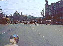 Potret Langka Kota Seoul Masih Melarat, Sapi Pun Berkeliaran