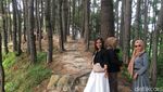 Foto: Hutan Pinus yang Indah Ini Bukan di Pulau Jawa