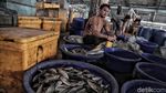 Melihat Aktivitas Pedagang Ikan Tradisional Jelang Relokasi