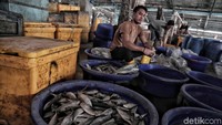 Pasar Ikan Modern (PIM) Muara Baru yang telah rampung pembangunannya pun memberikan harapan baru bagi para pedagang ikan tersebut.