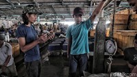 Pasar ikan Modern Muara Baru yang digadang-gadang sebagai Tsukiji-nya Indonesia tersebut bakal menjadi cikal bakal pasar ikan modern yang higienis di Indonesia.