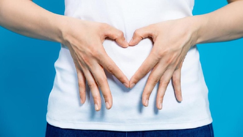 Ilustrasi ibu hamil/ Foto: iStock Ilustrasi ibu hamil/ Foto: iStock