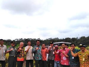 Hingga Maret, Kementan Targetkan Serap Gabah Petani 1,5 Juta Ton
