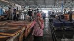 Melihat Aktivitas Pedagang Ikan Tradisional Jelang Relokasi