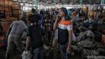 Melihat Aktivitas Pedagang Ikan Tradisional Jelang Relokasi