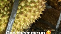 Hayo siapa yang tak tergoda dengan durian ini. Kulit durian berwarna hijau ini kelihatannya dagingnya manis. Durian dari Belitung konon punya rasa yang manis dengan warna agak kuning. Foto: Instagram@fifiletyyjahapurnama