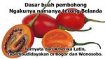 10 Meme Lucu Soal Buah Ini Dijamin Bikin Segar dan Ngakak