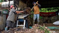 Para pekerja menggiling sampah-sampah yang sudah dipisahkan dari sampah berjenis organik dan anorganik untuk segera difermentasi.