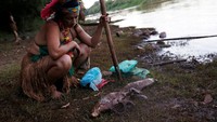 Salah seorang anggota suku asli Amazon menangkap ikan yang telah mati tercemar limbah lumpur.