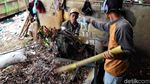 Bermanfaat! di Tempat Ini Sampah Diubah jadi Pupuk Kompos