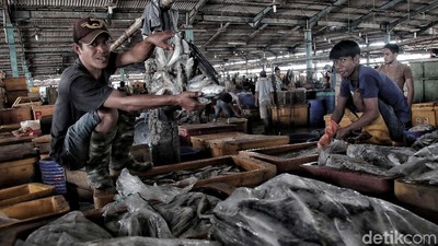Melihat Aktivitas Pedagang Ikan Tradisional Jelang Relokasi