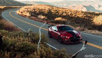Mobil disebut sebagai mobil jalanan tercepat yang pernah dibuat Ford. Pool/Ford.