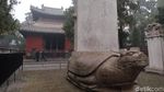 Foto: Pohon Berbentuk Naga karena Dipegang Kaisar China