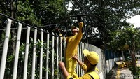 Petugas merapikan kabel semrawut di Jalan Warung Jati Barat, Jakarta, Selasa (29/1/2019).