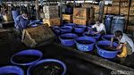 Melihat Aktivitas Pedagang Ikan Tradisional Jelang Relokasi