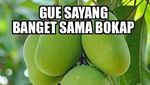 10 Meme Lucu Soal Buah Ini Dijamin Bikin Segar dan Ngakak