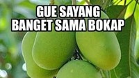 Ada yang paham dengan kalimat di gambar ini? Kan maksudnya kepala rumah tangga, bukan kepala rumah mangga. Duh! Foto: Istimewa