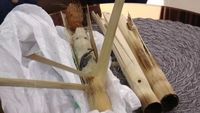 Kaget! Beli Ketan Bakar Bambu, Wanita Ini Temukan Kadal Mati